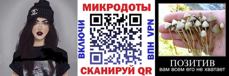 дарнет шоп  Вятские Поляны  Псилоцибиновые грибы Psilocybe 